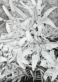"Tiger Lily Offerings..." Reproduction of original pen & ink pointillist drawing 18"x 13" image size