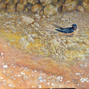 "Barn Swallow" egg tempera 22" x 22"