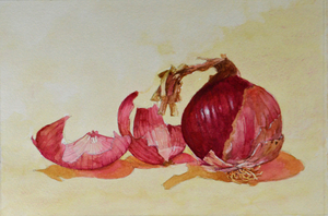 Red Onion watercolor 8 x 12